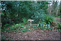 Footpath junction in the woods in TA24 8PE