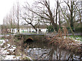 The bridge over Carleton Beck in NR14 7UG