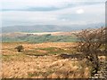 Rough pasture near Flinter Gill in LA10 5TA