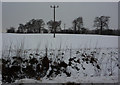 Snowy field south of lane in IP8 3ED