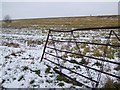 Gate, Fifield Bavant in SP5 5HU