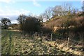 Looking back to the stile in Blewbury & Harwell Ward