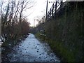 Footpath between River Taff and railway in CF14 2BN