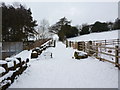 Footpath, Earnsdale Reservoir in BB3 0NL