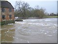 River Stour, Sturminster Newton in DT10 2HD