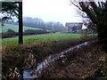 River Winterborne in DT11 0NX