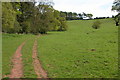 Herefordshire Trail and Eaton Park in HR9 7JW