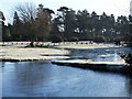 Janesmoor Pond, frost in SO43 7HH