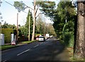 Ferndown, roadworks in BH22 8BZ