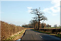 Looking east along the lane to Birdingbury from Marton in CV23 9TP