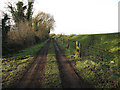 Track along Isleham Wash in IP28 8QS