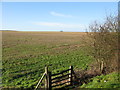Looking SW across farmland from A20 lay-by in TN25 6DB