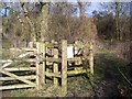 Kissing Gate near Tatsfield Court Farm in TN16 2EL