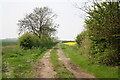 Leafy Lane in Navenby & Brant Broughton Ward
