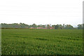 Farmland near Tithby in Tithby