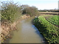 View of the East Stour River in TN25 7DX