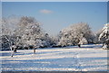 Calverley Park in the snow in TN1 1ST