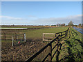 Horse paddocks in IP28 8PW