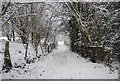 Snow covered path to Hurst Wood in TN3 0TA