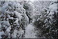 Snow, footpath north of Speldhurst Rd in TN3 0TE