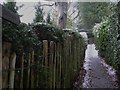 Snowy footpath in Haslemere in GU27 3FD