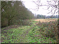 Footpath west of Whitlingham Lane in NR1 2BE