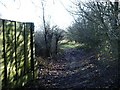 Footpath opens out towards golf course in B76 1LL