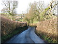 Bank Road as it drops down towards Broad Oak in TN25 7HH