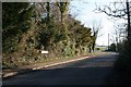 Road sign in the hedge in Brightwell-cum-Sotwell