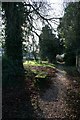 Looking down the footpath in Brightwell-cum-Sotwell