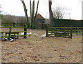 Amport - Goose Paddock in SP11 8JB