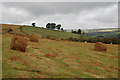Bales of Bracken in LD3 8HW
