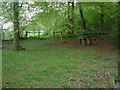 Picnic Site, Cockshoots Wood in HP22 6QA