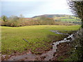 Pasture land above The Bage in HR3 5SU