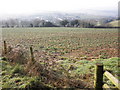 Field, above Silverton in EX5 4JP