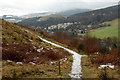 Innerleithen from Pirn Wood in EH44 6HX