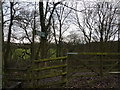 Path to Chander Hill and Upper Loads in Holymoorside