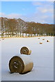 Snowy hay bales, Hill of Lour in DD8 2NP