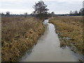 River Ise near Barton Seagrave in NN15 6GE