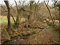 Footpath in the Wiltown Valley in EX15 3TT