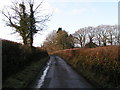 Lane near Little Barton Farm in EX5 3DE