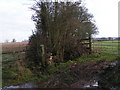 Gates and the end of a hedge between fields in EX15 2NH