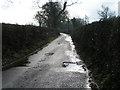 A wet lane with partially repaired road surface in EX15 2NH