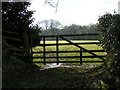 Gate and field near Wimple Wood in EX5 2TQ
