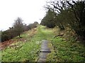 Boardwalk near Whorl Hill in TS9 7BW