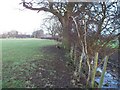 Field edge path in GL52 8AS