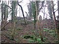 The ruins of St Andrew's church viewed from Whitlingham Lane in Thorpe Hamlet Ward
