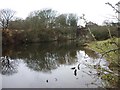 Flooded quarry, Overton in LA3 3JB