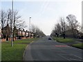 Chadderton Hall Road in OL1 2QS