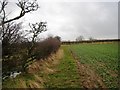 Footpath near Barley Hill in TS9 7AT